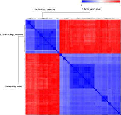 Systems Biology – A Guide for Understanding and Developing Improved Strains of Lactic Acid Bacteria